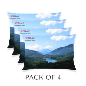 Cushion Cover